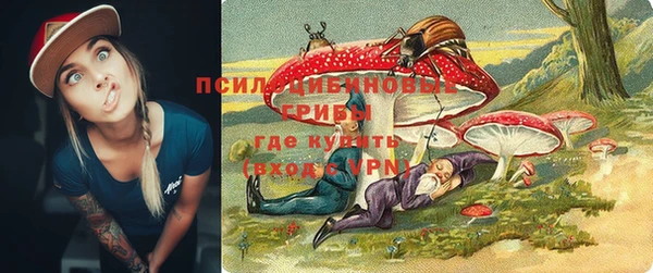 гидра Козельск