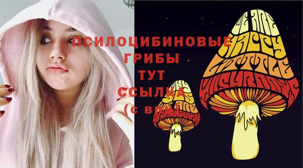 винт Корсаков