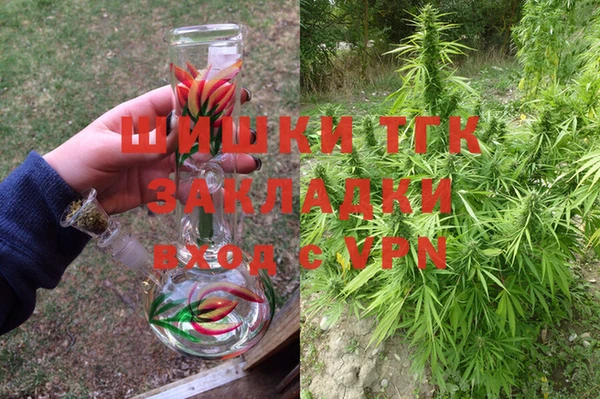 гашик Козловка