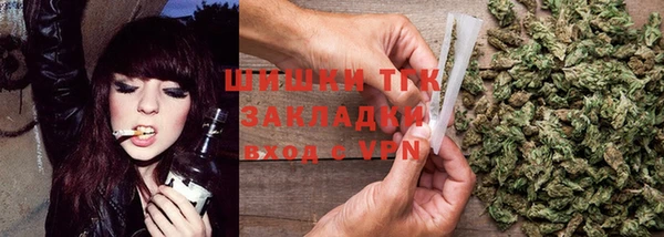гашик Козловка