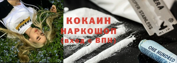 гашик Козловка