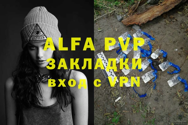 гашик Козловка