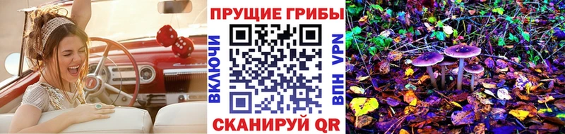 Галлюциногенные грибы MAGIC MUSHROOMS  сайты даркнета формула  Красный Кут 